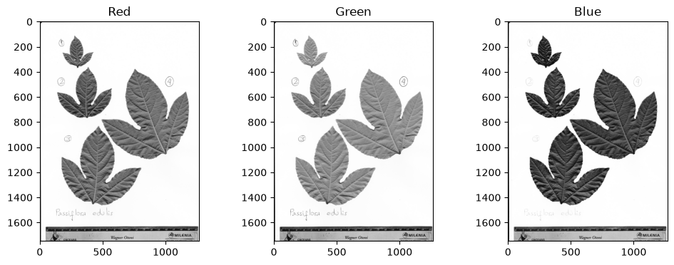 <Figure size 1200x400 with 3 Axes>