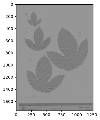<Figure size 640x480 with 1 Axes>